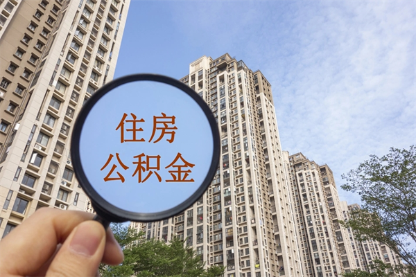 丰城辞职多久公积金可以全部取出来吗（辞职之后公积金多长时间可以取）